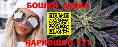 мдпв Дубна