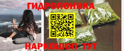 мдпв Дубна