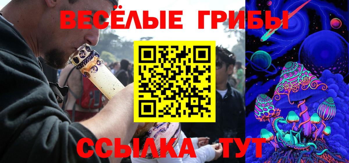 Луга  Псилоцибиновые грибы Cubensis  Галлюциногенные грибы Psilocybine cubensis  Вход с VPN 