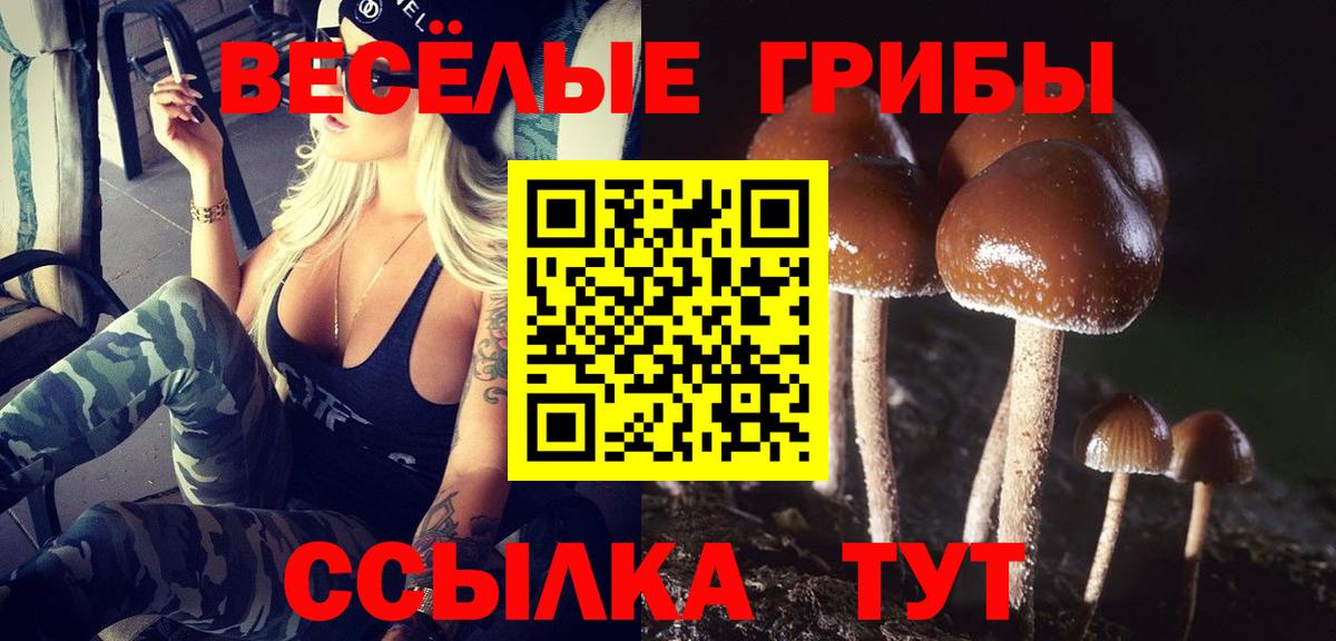 Псилоцибиновые грибы прущие грибы Луга